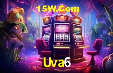 Experiência VIP Uva6