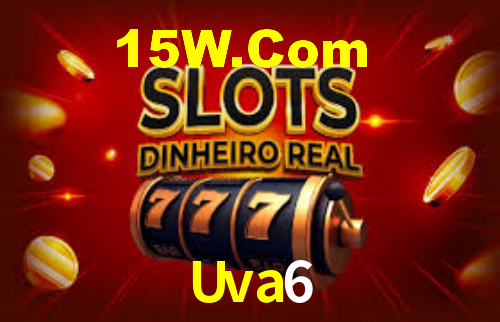 Premium Interface Uva6